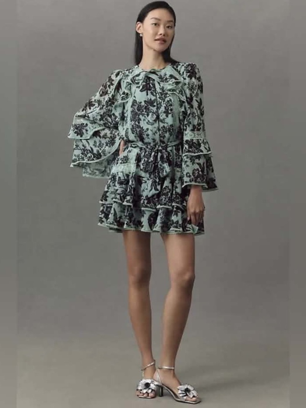 Anthropologie BHLDN Camila Long-Sleeve Chiffon Mini Dress